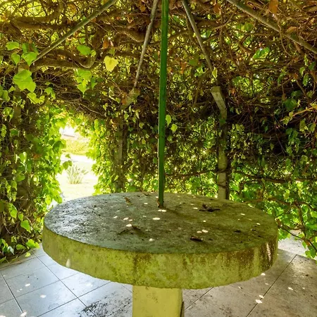 Bmyguest - Lagoa & Pool Villa *