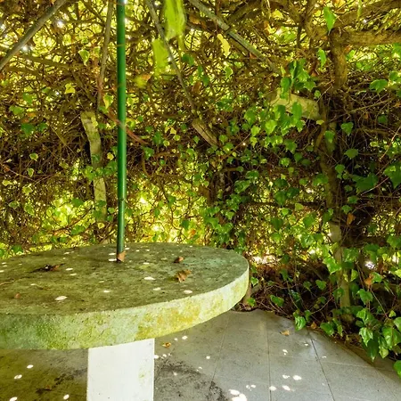 Villa Bmyguest - Lagoa & Pool